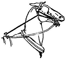 bearing rein